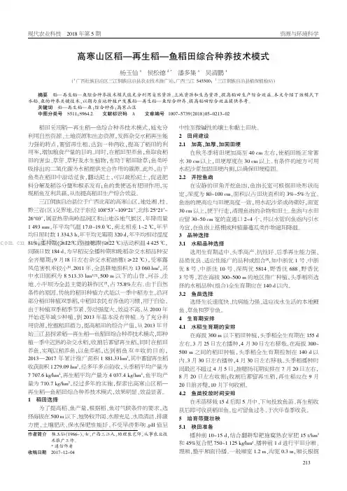 高寒山区稻一再生稻一鱼稻田综合种养技术模式