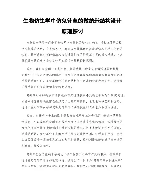 生物仿生学中仿鬼针草的微纳米结构设计原理探讨