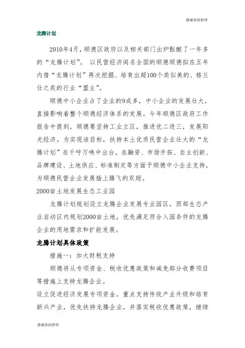 龙腾计划规划设立龙腾企业发展模板.doc