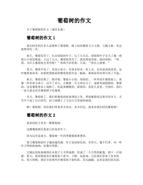 葡萄树的作文