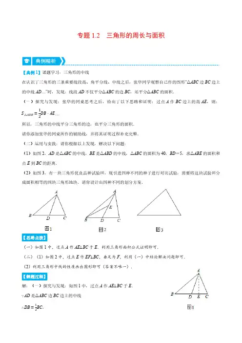 专题1.2 三角形的周长与面积(压轴题专项讲练)(浙教版)(原卷版)