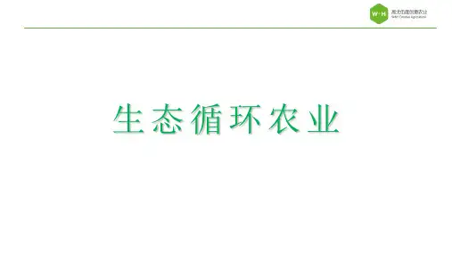 生态循环农业 