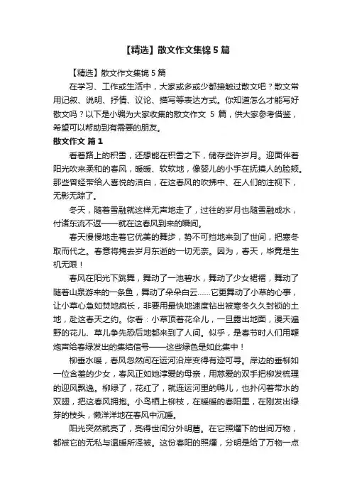 【精选】散文作文集锦5篇