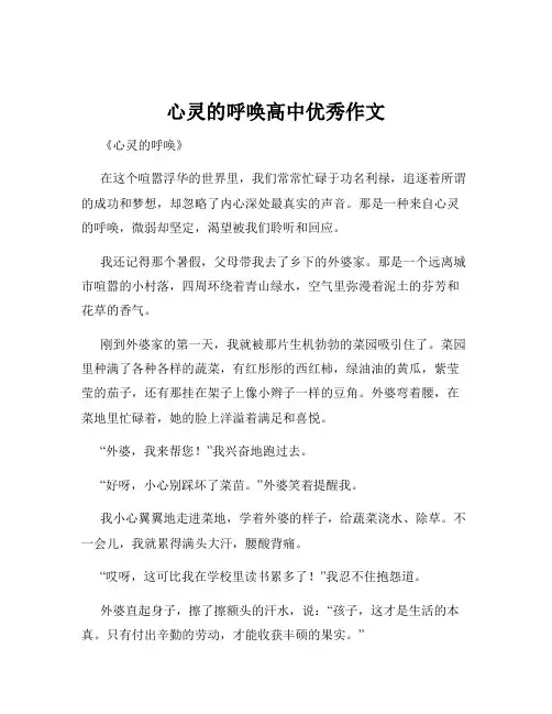 心灵的呼唤高中优秀作文