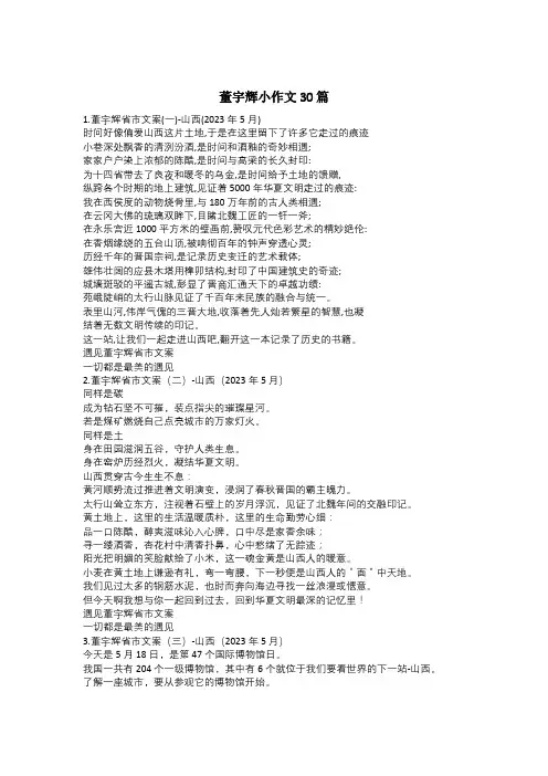 董宇辉小作文30篇