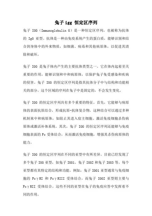 兔子igg 恒定区序列