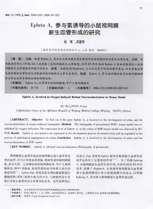 Ephrin A1参与氧诱导的小鼠视网膜新生血管形成的研究