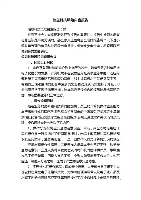 信息科技风险自查报告