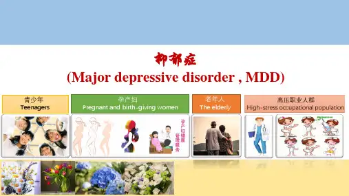 抑郁症(青少年、孕产妇老年人及职业高危人群)理论与治疗