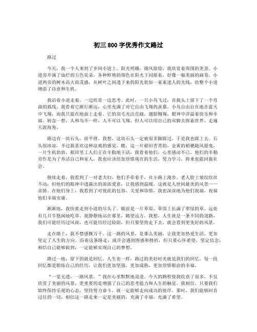 初三800字优秀作文路过