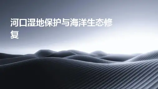 河口湿地保护与海洋生态修复