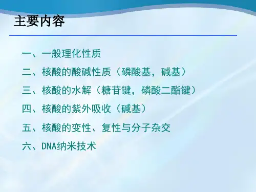 核酸的组成与理化性质