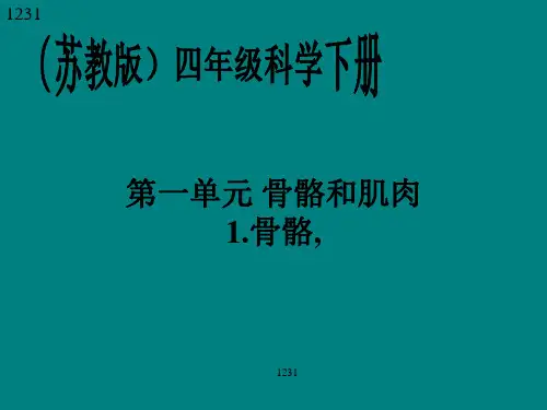 苏教版小学四年级下册科学全册PPT课件
