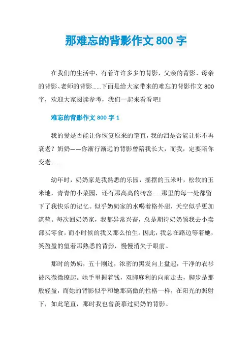 那难忘的背影作文800字