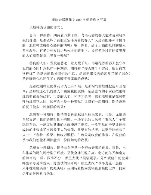期待为话题作文800字优秀作文五篇