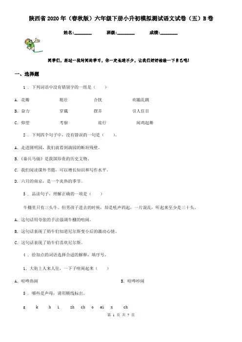 陕西省2020年(春秋版)六年级下册小升初模拟测试语文试卷(五)B卷