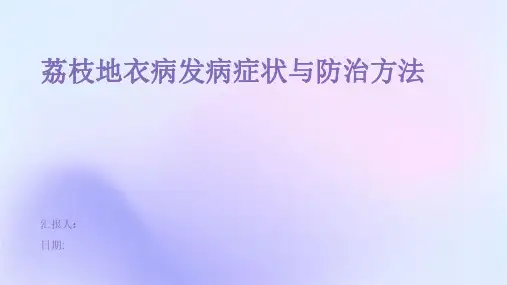 荔枝地衣病发病症状与防治方法