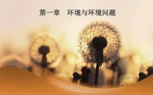 人教版地理选修六第一章第一节《我们周围的环境》课件(共40张PPT)