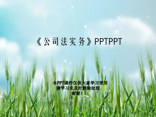 《公司法实务》PPTPPT