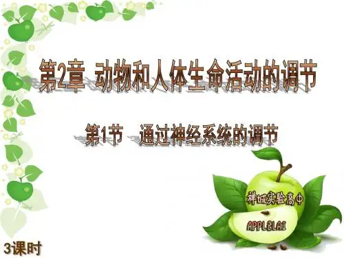 人教版高中生物必修三第二章第1节《通过神经系统的调节》 课件 (共72张PPT)