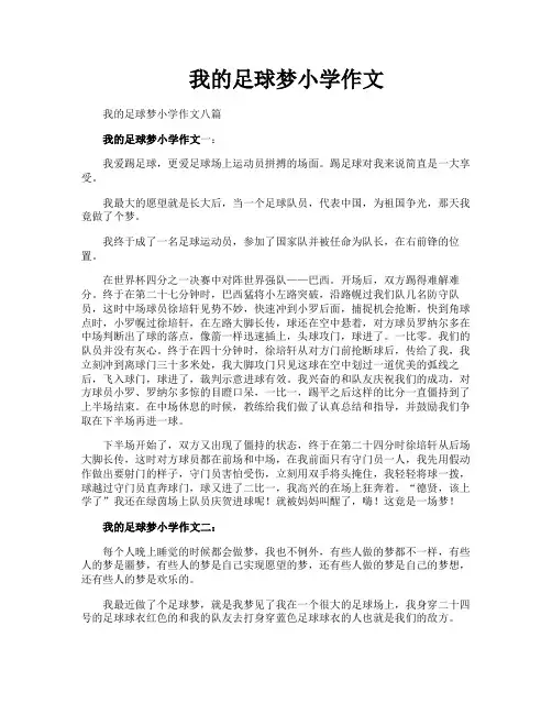 我的足球梦小学作文