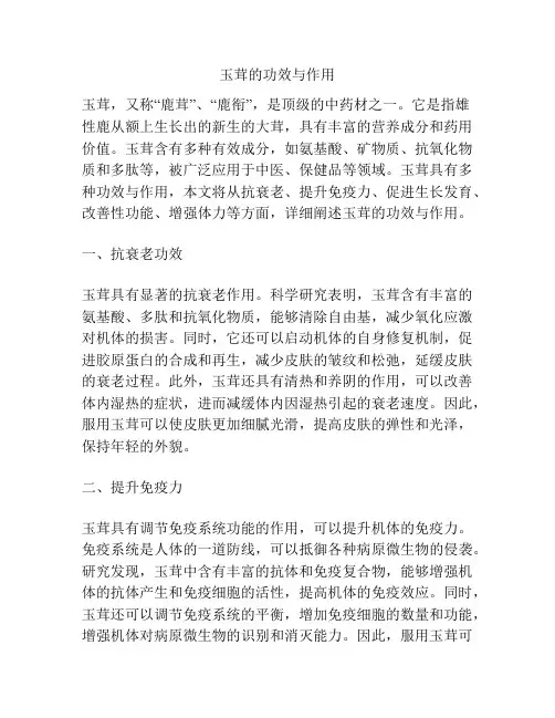 玉茸的功效与作用