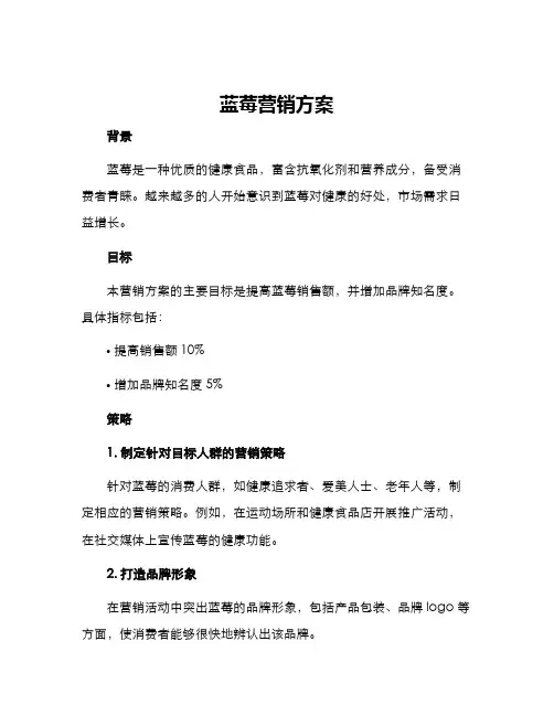 蓝莓营销方案