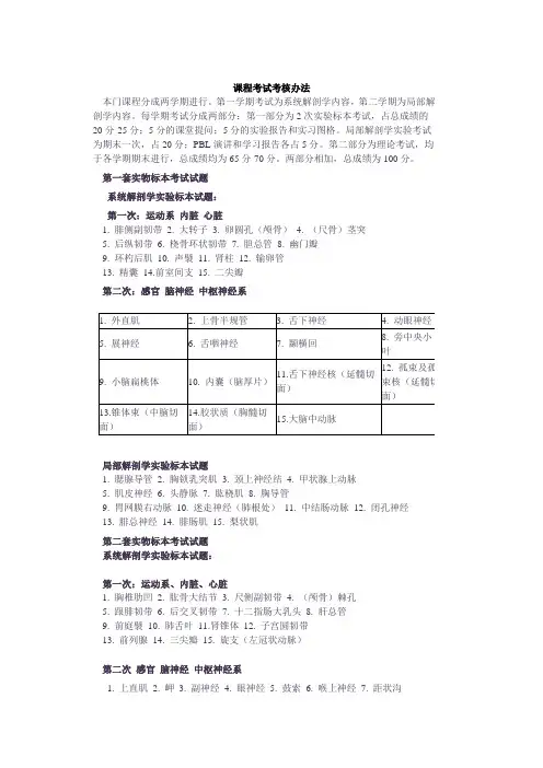 人体解剖学  考核方式