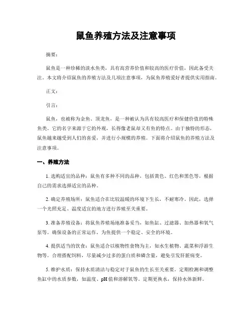 鼠鱼养殖方法及注意事项