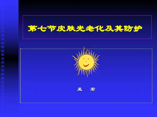 皮肤功能篇(第十节皮肤光老化)