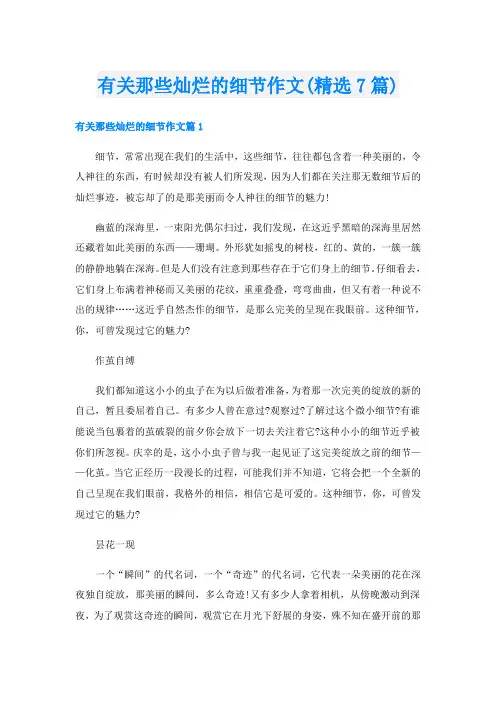 有关那些灿烂的细节作文(精选7篇)