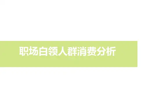 职场白领人群消费分析