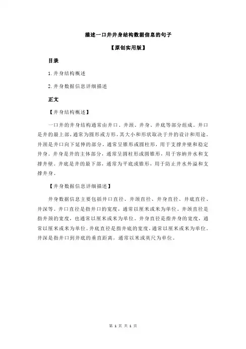 描述一口井井身结构数据信息的句子