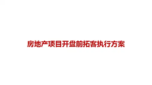 房地产项目开盘前拓客方案