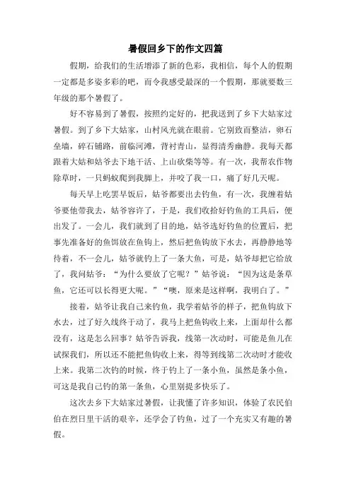 暑假回乡下的作文四篇