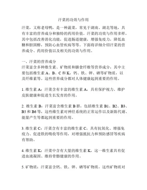 汗菜的功效与作用