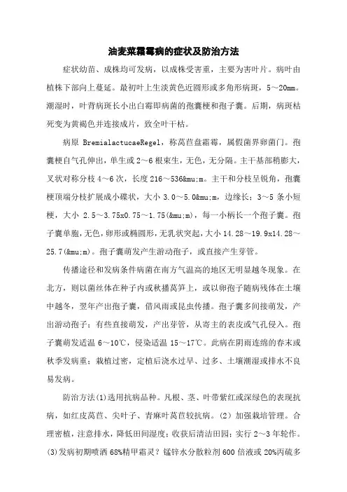 油麦菜霜霉病的症状及防治方法