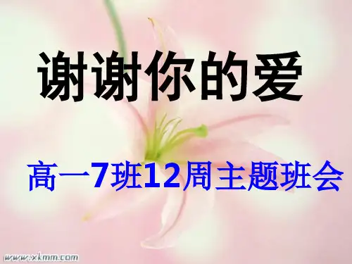 谢谢你的爱   主题班会 获奖课件PPT