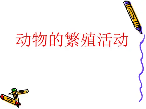 四年级下科学课件第二单元 动物的繁殖活动_教科版(共35张PPT)