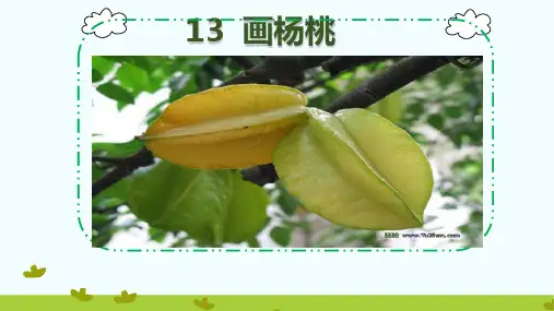 (人教部编版教材)画杨桃PPT1