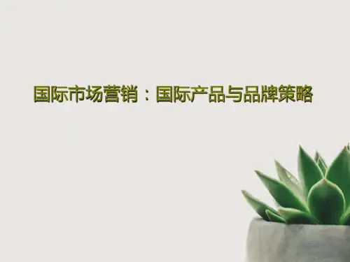 国际市场营销：国际产品与品牌策略共63页PPT