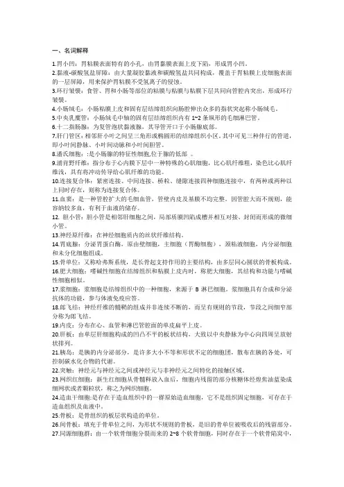 组胚重点