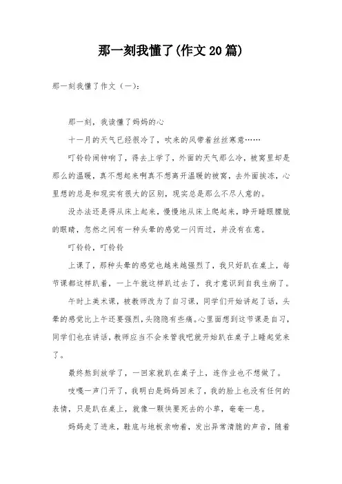 那一刻我懂了(作文20篇)