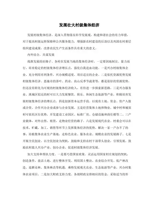 发展壮大村级集体经济