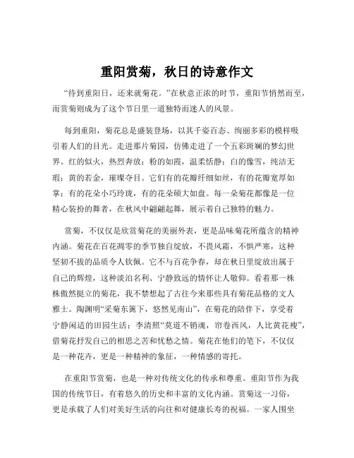重阳赏菊,秋日的诗意作文
