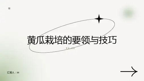 黄瓜栽培的要领与技巧
