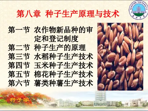 8种子生产原理与技术