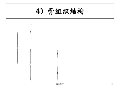 组织胚胎学--组织  ppt课件