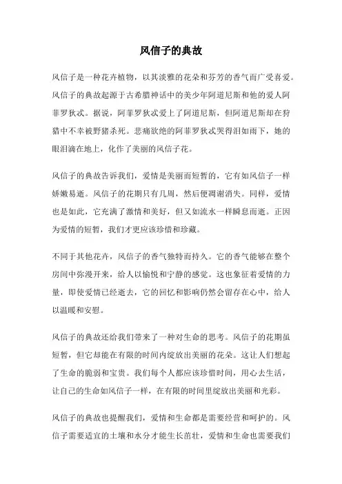 风信子的典故