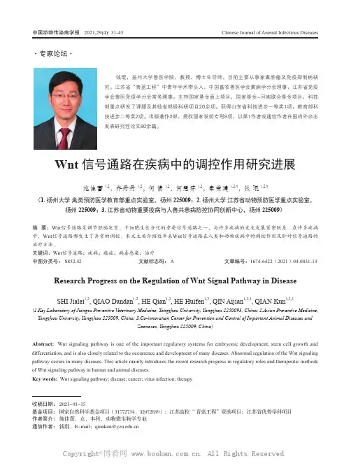 Wnt 信号通路在疾病中的调控作用研究进展